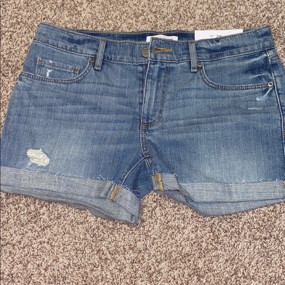 Ann Taylor Loft shorts